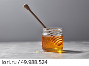 Sweet floral natural honey in a jar and wooden spoon on a gray marble table, copy space. Jewish rosh hashanah holiday concept.. Aromatic fresh organic honey with dipper in a glass pot on a gray stone table, pure natural sweet goodness. Стоковое фото, агентство Ingram Publishing / Фотобанк Лори