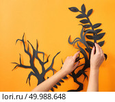 Pattern of paper leaves and tree branches. The hands of the girl make a handcraft composition on an orange background with space for text. Halloween concept. Flat lay. The hands of a woman make a composition of paper black leaves and trees on an orange background with space for text. Handdecraft lyout to Halloween. Flat lay. Стоковое фото, агентство Ingram Publishing / Фотобанк Лори