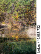 Goshiki-numa Five Colour Pond in Autumn, Urabandai, Fukushima, Japan. Стоковое фото, агентство Ingram Publishing / Фотобанк Лори