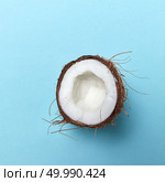 Half a ripe coconut presented on a blue background with copy space for text. Tropical walnut. Flat lay. Fresh coconut half isolated on blue background with space for text. Flat lay. Стоковое фото, агентство Ingram Publishing / Фотобанк Лори
