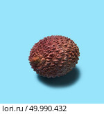 Fresh exotic fruit litchi on a blue background with space for text and shadow reflection.. Whole lychee on a blue background with shadow and copy space. Tropical fruit. Стоковое фото, агентство Ingram Publishing / Фотобанк Лори