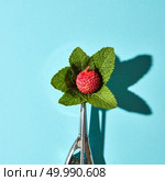 Creative composition from litchi fruit with mint leaves in the metal spoon for ice cream on a blue glass background with shadows. Food modern style, top view.. Flat lay of spoon for ice cream with litchi fruit and mint leaves on a blue background with hard shadows. Food concept. Стоковое фото, агентство Ingram Publishing / Фотобанк Лори