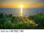 Sundown composition. Sky, sea, and green grass. Стоковое фото, агентство Ingram Publishing / Фотобанк Лори