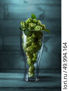 Dried green hops in a glass on the blue wooden background. Dried hops in a glass. Стоковое фото, агентство Ingram Publishing / Фотобанк Лори