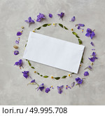 Composition of flowers of different colors around blank white copy space may be used as present or gift for any holiday on grey background.. Composition of flowers on grey background. Стоковое фото, агентство Ingram Publishing / Фотобанк Лори