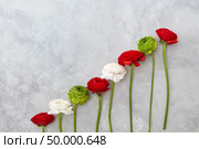 a composition from flowers of roses and chrysanthemums on a gray concrete background. Valentine’s Day, Mother’s Day. beautiful different flowers on a gray background. Стоковое фото, агентство Ingram Publishing / Фотобанк Лори