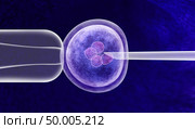 Gene editing in vitro genetic CRISPR genome engineering medical biotechnology health care concept with a fertilized human egg embryo and a group of dividing cells as a 3D illustration. Стоковое фото, агентство Ingram Publishing / Фотобанк Лори