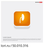 kidney icon. Стоковая иллюстрация, агентство Ingram Publishing / Фотобанк Лори