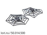 Spider fakes for use in Halloween. Стоковое фото, агентство Ingram Publishing / Фотобанк Лори