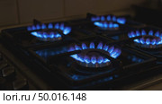 Gas burners of home kitchen stove burn with bright blue flame, fossil fuel, electricity alternative, home cooking. Стоковое AI-видео, аниматор Ольга Яковенко / Фотобанк Лори