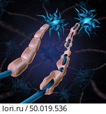 Multiple sclerosis damaged myelin or MS autoimmune disease with healthy nerve with exposed fibre with scarrred cell sheath loss as a 3D illustration. Стоковое фото, агентство Ingram Publishing / Фотобанк Лори