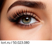 False eyelashes on a woman's face close-up. Стоковое AI-изображение, AI-художник Анна Никонорова / Фотобанк Лори