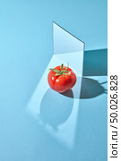 Red tomato with a green stem and a mirror on a blue background with shadows and a copy of a spacer. Creative food composition. Composition from a mirror and a ripe tomato on a blue background with reflection of shadows and copy space. Organic vegetable. Стоковое фото, агентство Ingram Publishing / Фотобанк Лори