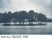 tree in the water lake. Стоковое фото, агентство Ingram Publishing / Фотобанк Лори