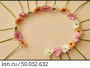 Beautiful delicate colored gerbera flowers in a round frame from disappear from a light yellow paper background with copy space. Stop motion animation. Flat lay.. A round frame made of delicate multicolored pastel flowers of gerberas, disappearing on a light yellow background. Stop motion animation. Стоковое фото, агентство Ingram Publishing / Фотобанк Лори