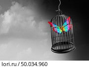 Autism psychology and autistic developmental education freedom as a hope symbol and special learning  with caged thinking as a 3D illustration. Стоковое фото, агентство Ingram Publishing / Фотобанк Лори