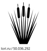 Reed Bulrush Reeds Club-rush ling Cane rush icon black color vector illustration flat style simple image. Стоковая иллюстрация, агентство Ingram Publishing / Фотобанк Лори