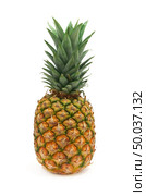 Isolated ananas. Element of design. Стоковое фото, агентство Ingram Publishing / Фотобанк Лори