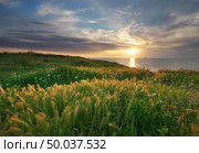 Sundown landscape composition. Sky, sea, and green grass. Стоковое фото, агентство Ingram Publishing / Фотобанк Лори
