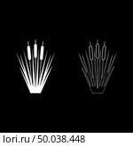 Reed Bulrush Reeds Club-rush ling Cane rush icon set white color vector illustration flat style simple image. Стоковая иллюстрация, агентство Ingram Publishing / Фотобанк Лори