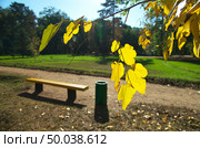 Autmn composition. Bench in park. Стоковое фото, агентство Ingram Publishing / Фотобанк Лори