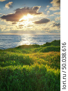 Sundown landscape composition. Sky, sea, and green grass. Стоковое фото, агентство Ingram Publishing / Фотобанк Лори