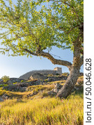 View of Numao Castle. Council of Vila Nova de Foz Coa. Portugal. Douro Region. Стоковое фото, агентство Ingram Publishing / Фотобанк Лори
