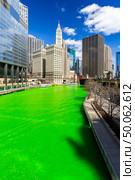Chicago Skylines building along green dyeing river of Chicago River on St. Patrick’s day festival in Chicago Downtown IL USA. Стоковое фото, агентство Ingram Publishing / Фотобанк Лори