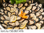 Blue Mussel in Seafood on ice buffet bar. Стоковое фото, агентство Ingram Publishing / Фотобанк Лори