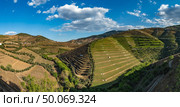 View of the beautifull Torto river valley with vineyards and terraced slopes in the Douro Region, famous Port Wine Region, Portugal. Стоковое фото, агентство Ingram Publishing / Фотобанк Лори