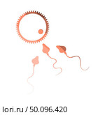 Sperm And Egg Cell Icon. Flat Color Ladder Design. Vector Illustration. Стоковая иллюстрация, агентство Ingram Publishing / Фотобанк Лори