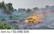 Burning wood and dry grass creating a lot of smoke near houses. Стоковое видео, видеограф Mikhail Davidovich / Фотобанк Лори