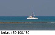 Sailing boat catamaran in the blue sea. Стоковое видео, видеограф Игорь Жоров / Фотобанк Лори
