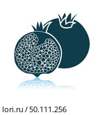 Pomegranate Icon On Gray Background. Shadow Reflection Design. Vector Illustration. Стоковая иллюстрация, агентство Ingram Publishing / Фотобанк Лори