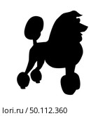 Poodle Dog Silhouette. Smooth Vector Illustration. Стоковая иллюстрация, агентство Ingram Publishing / Фотобанк Лори