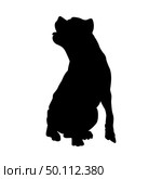 Pit Bull Terrier Dog Silhouette. Smooth Vector Illustration. Стоковая иллюстрация, агентство Ingram Publishing / Фотобанк Лори