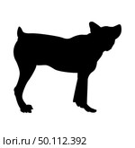 Sheep Dog Silhouette. Smooth Vector Illustration. Стоковая иллюстрация, агентство Ingram Publishing / Фотобанк Лори