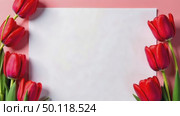 AI Generative Postcard with copyspace for text on color background with flowers for March 8. Стоковое AI-видео, аниматор Spirit River / Фотобанк Лори