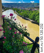 Panoramic view of the Kura river from a balcony with roses in Tbilisi. Стоковое фото, фотограф Olesya Vlasova / Фотобанк Лори