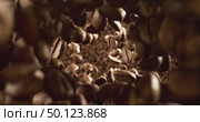 Close up of seeds of coffee. Fragrant coffee beans Super Macro Close Up. Shot on super slow motion camera 1000 fps. Стоковое видео, видеограф Андрей Армягов / Фотобанк Лори