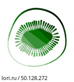 Icon Of Kiwi. Flat Color Ladder Design. Vector Illustration. Стоковая иллюстрация, агентство Ingram Publishing / Фотобанк Лори