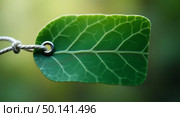 Vibrant green leafshaped tag with rounded corners and silver grommet perfect for ecofriendly labeling and natureinspired attire. Стоковое AI-изображение, AI-художник Андрей Бакусов / Фотобанк Лори
