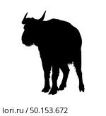 Bison Silhouette. Highly Detailed Smooth Design. Vector Illustration. Стоковая иллюстрация, агентство Ingram Publishing / Фотобанк Лори