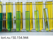 biofuel oil research in laboratory, biofuel energy power concept. Стоковое фото, агентство Ingram Publishing / Фотобанк Лори
