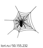 Halloween black spider with nets. Vector illustration. Стоковая иллюстрация, агентство Ingram Publishing / Фотобанк Лори