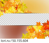 Autumn maple leaves background. Vector illustration with transparency and meshes. EPS10. Стоковая иллюстрация, агентство Ingram Publishing / Фотобанк Лори