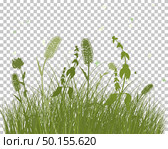 Summer meadow background. EPS 10 vector illustration with transparency and meshes. Стоковая иллюстрация, агентство Ingram Publishing / Фотобанк Лори