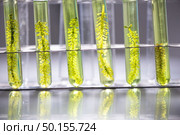 Biodiesel production is the process of producing the biofuel, biodiesel, in laboratory. Стоковое фото, агентство Ingram Publishing / Фотобанк Лори
