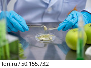 Supplementary capsules from natural extracts. Стоковое фото, агентство Ingram Publishing / Фотобанк Лори