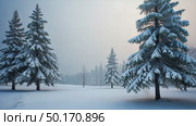 Peaceful winter landscape with a snow-covered road and frost-covered trees on a foggy day. Serene and cold atmospheric scenery. Стоковое AI-видео, аниматор Sergey Grishin / Фотобанк Лори